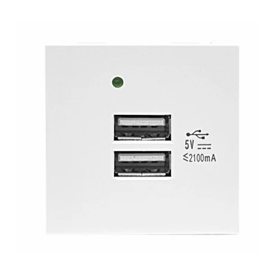 Module de chargement double USB A